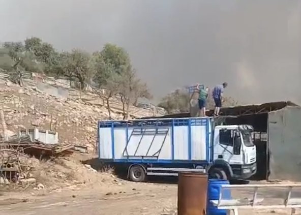 Evacuada la ganadería Hermanos Infantes por el incendio de la Vall d'Uixó
