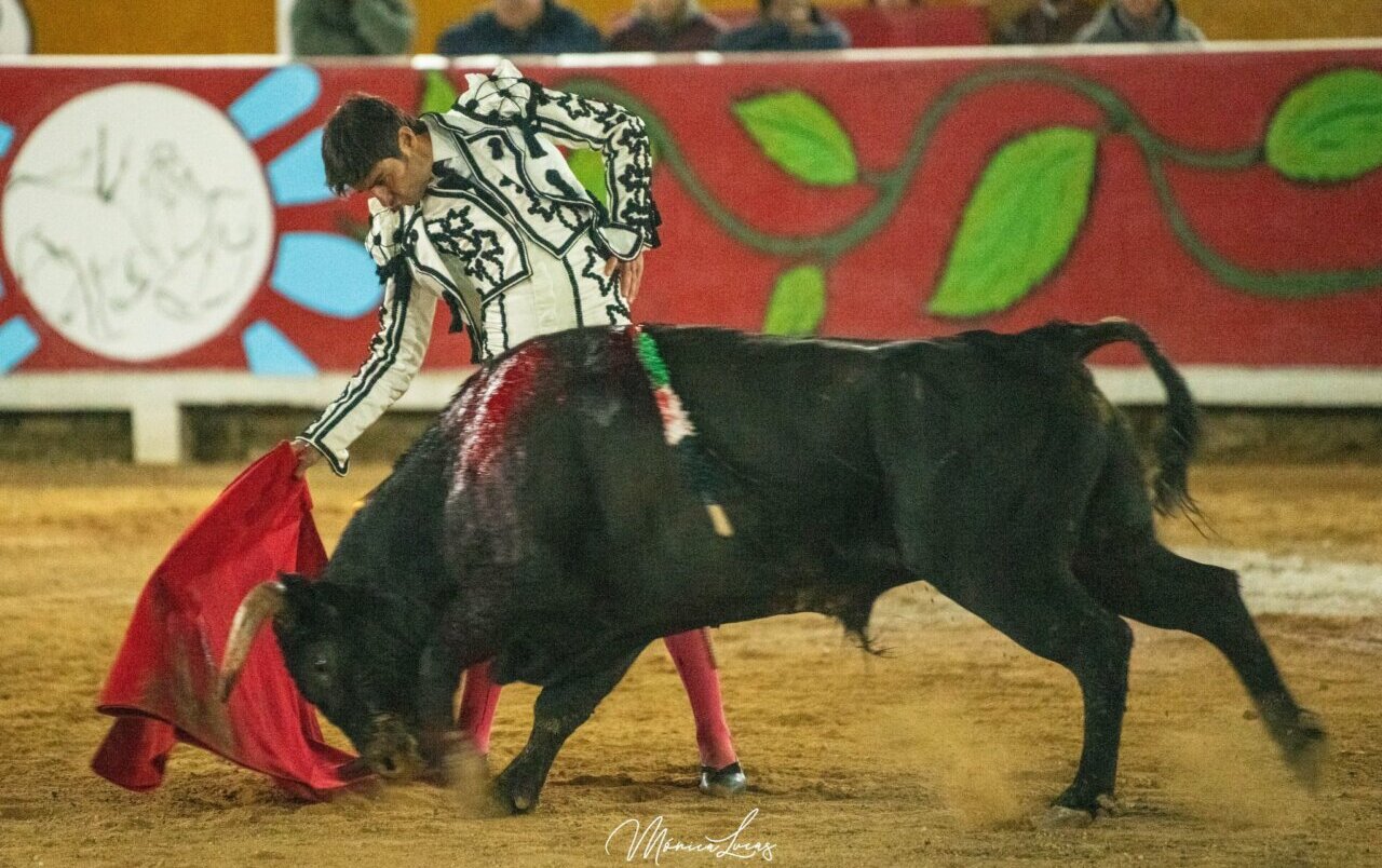 Perera, que indulta un toro de Sancho Dávila, y Daniel Luque, grandes triunfadores en Cutervo