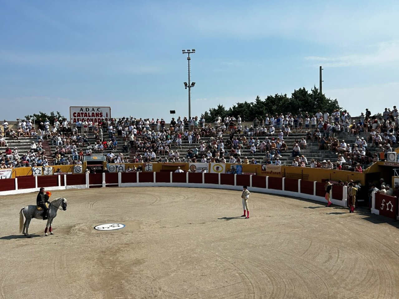 Siga novillo a novillo la gesta de Vilau en Ceret