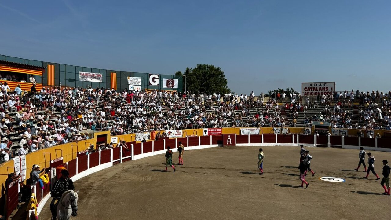 Aseada faena de Valentín Hoyos con el soso primero en Ceret