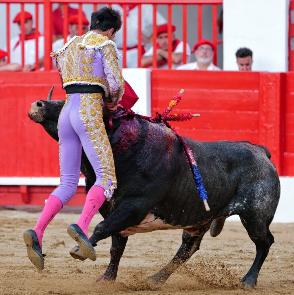 Heroico Navalón, oreja con petición de la segunda tras una fea cogida en el sexto