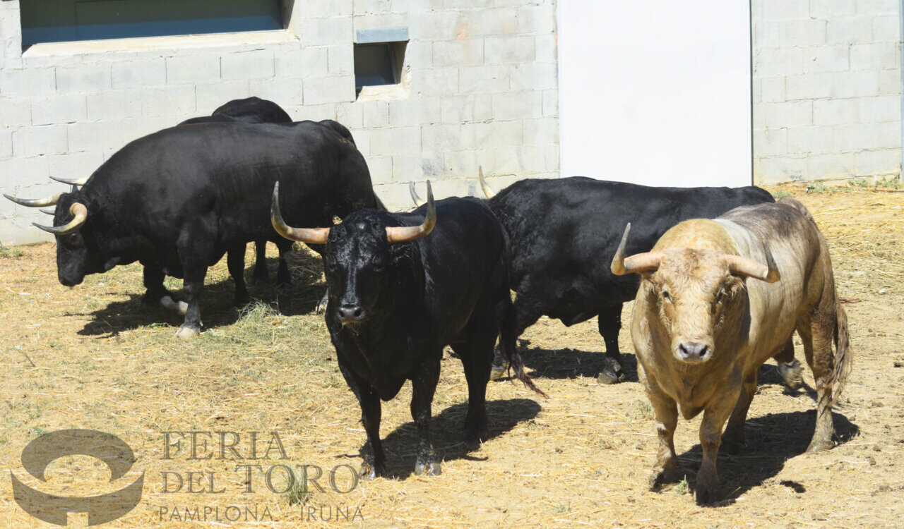 Fuente Ymbro y Cebada Gago, seriedad en los corrales del Gas