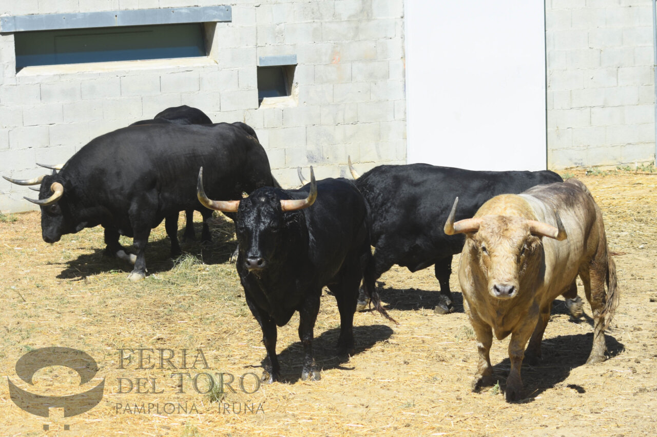 Fuente Ymbro y Cebada Gago, seriedad en los corrales del Gas