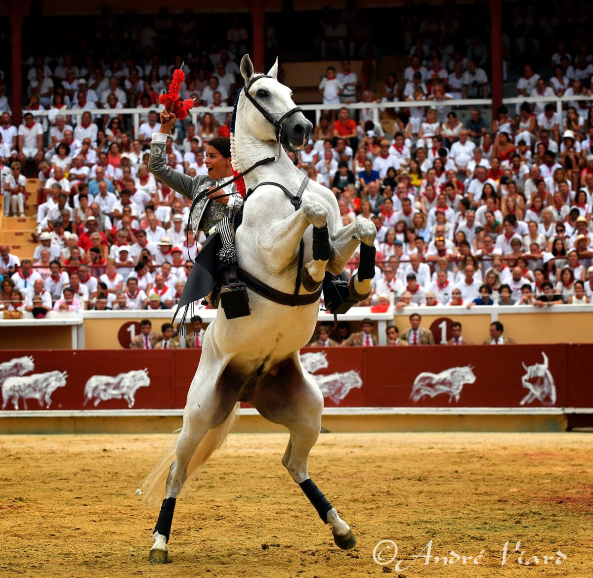 Andy Cartagena, oreja del buen primero de Romao Tenorio