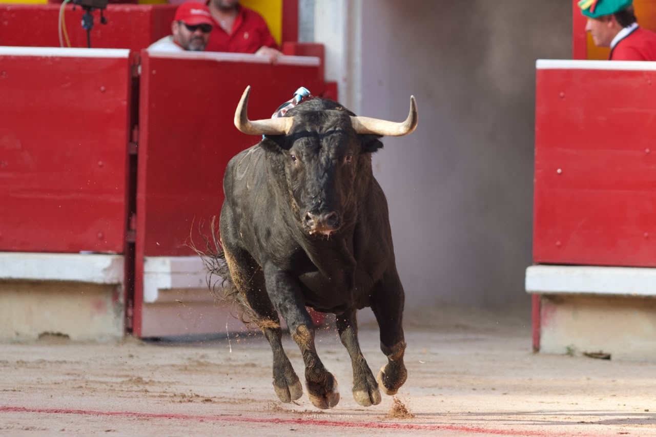 Jandilla hace doblete en los premios de la Feria del Toro de Pamplona
