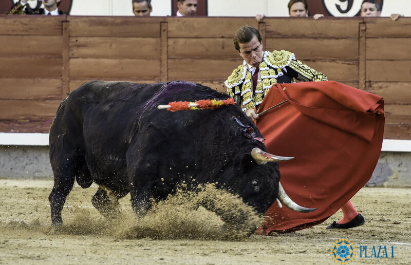 Javier Cortés, ante su regreso a Las Ventas en la festividad de La Paloma