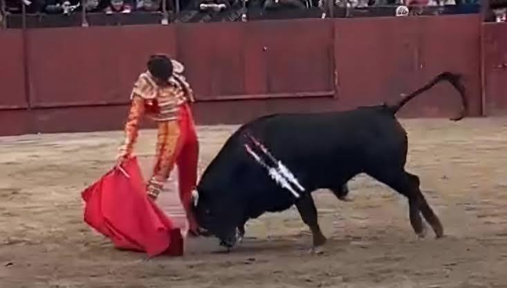Antonio Aparicio, herido grave en el muslo derecho en Blanca