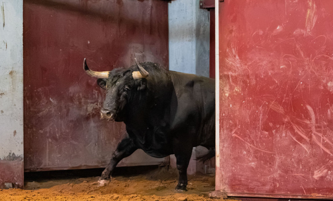 Seis de Zalduendo para la primera de San Sebastián