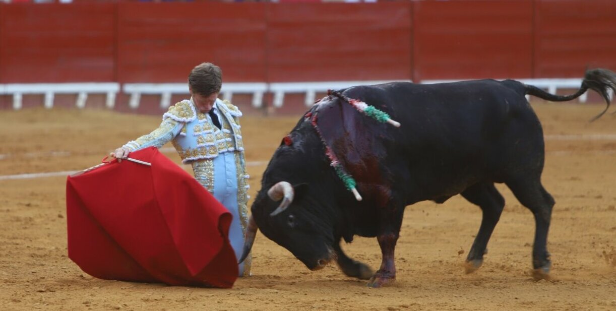 La última de El Puerto, en imágenes