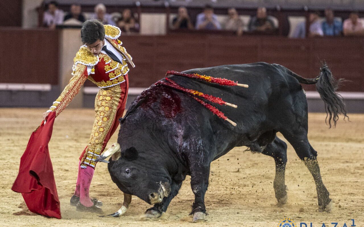 Noche de silencios en Las Ventas