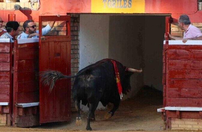 Apoteosis de Perera, que indulta a Onírico, Roca Rey y David de Miranda en Huelva